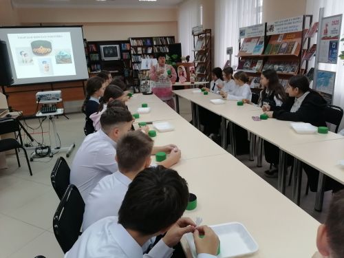 Школьники в Верхнем Услоне изучили народные костюмы по Пушкинской карте