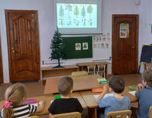 Балалар ылыслы агачлар белән таныштылар