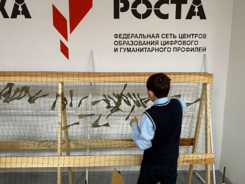 Школьники Набережно-Морквашской школы сплели маскировочные сети для военных
