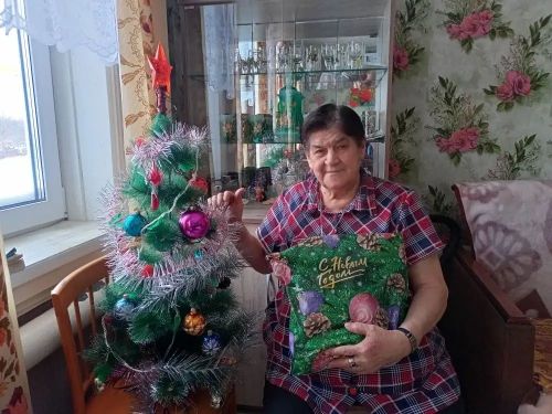 Соцработники принесли новогоднее настроение пожилым людям на дом