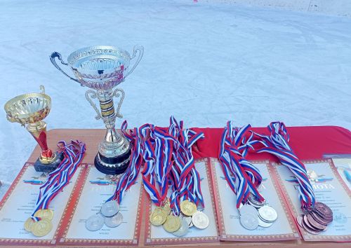 В Макулове завершился хоккейный турнир