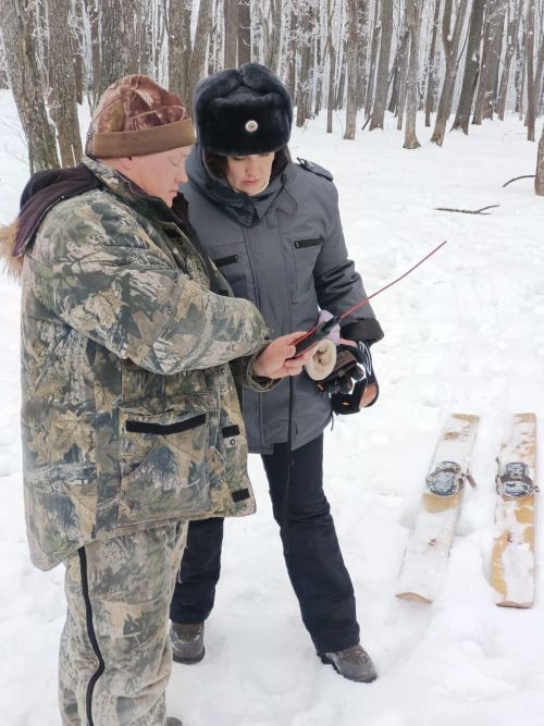 В лесах Верхнеуслонского района можно встретить лосей, зайцев, куниц