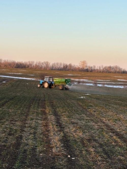 В Верхнеуслонском районе приступили к подкормке озимых культур