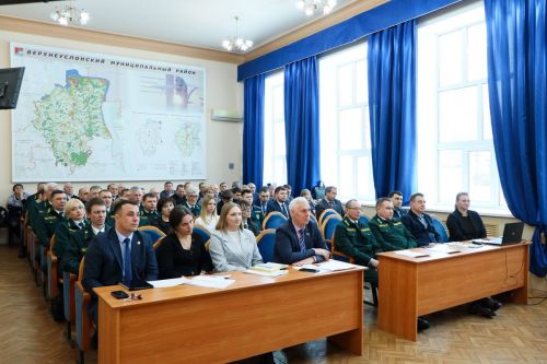 Лесничества Верхнеуслонского района оказывают поддержку семьям участников СВО