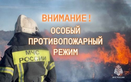 Особый противопожарный режим в Татарстане: полный запрет на костры и шашлыки