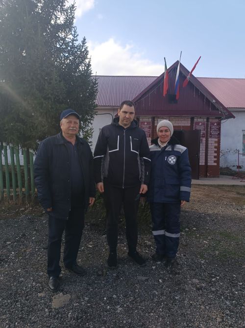 Новый закон Татарстана: штрафы за незарегистрированных питомцев