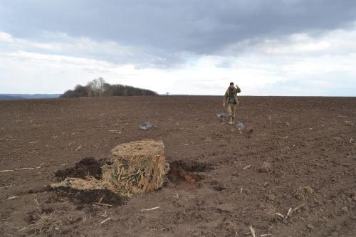 В Верхнеуслонском районе идет охота на гуся
