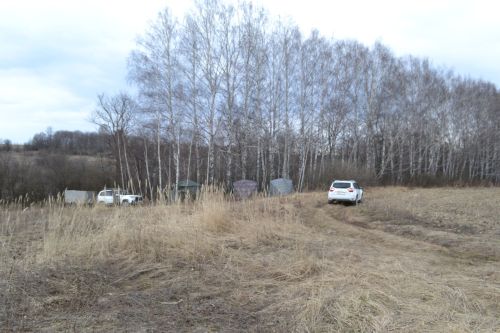 В Верхнеуслонском районе идет охота на гуся