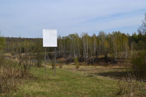 Медведей и волков в Верхнеуслонском районе нет, но есть косули и пятнистые олени