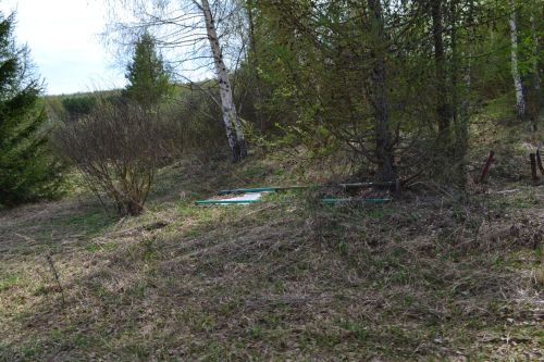 Медведей и волков в Верхнеуслонском районе нет, но есть косули и пятнистые олени