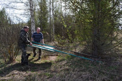 Медведей и волков в Верхнеуслонском районе нет, но есть косули и пятнистые олени