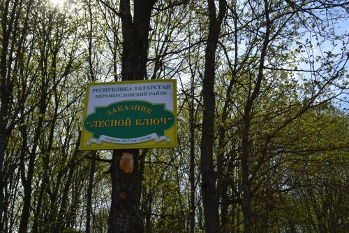 Медведей и волков в Верхнеуслонском районе нет, но есть косули и пятнистые олени