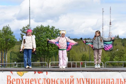 Первомай в Верхнем Услоне: праздник труда, творчества и единства