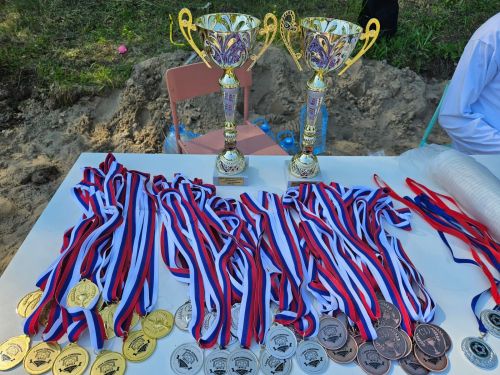 Футбольной команде «Импульс» из Печищ – один год