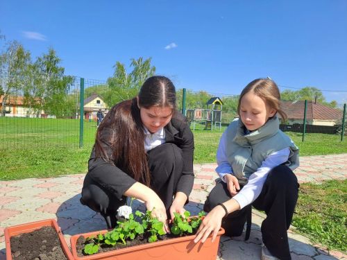 Татар Борнашында Хәтер урыннарын чистарттылар
