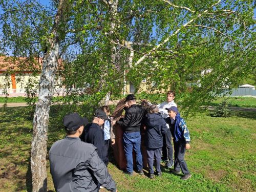 Татар Борнашында Хәтер урыннарын чистарттылар