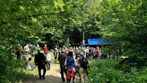 В Верхнеуслонском районе прошел Кубок Татарстана по 3Д стрельбе из лука