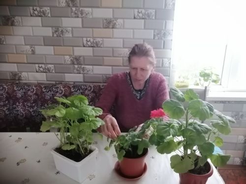 Цветочная терапия для пожилых в Верхнеуслонском районе