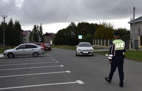 В Верхнем Услоне проверили правила перевозки детей в автомобилях