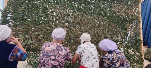 Бакчасарайлылар «Үзебезнекеләрне ташламыйбыз» акциясендә даими катнаша