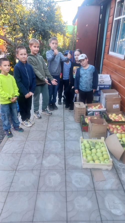 «Шарлот-Шоу»: добро, собранное своими руками