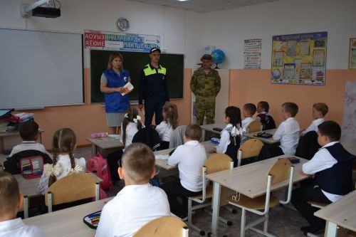 Урок безопасности дорожного движения прошел в Верхнеуслонской гимназии
