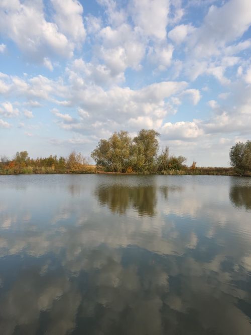 Библиотекарь из пос.им.Кирова покорила мир при помощи объектива фотоаппарата