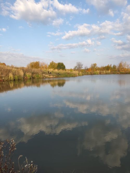 Библиотекарь из пос.им.Кирова покорила мир при помощи объектива фотоаппарата