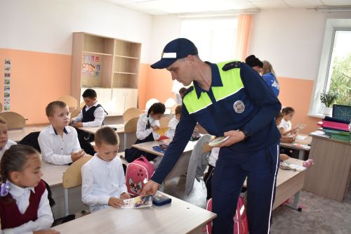 Урок безопасности дорожного движения прошел в Верхнеуслонской гимназии