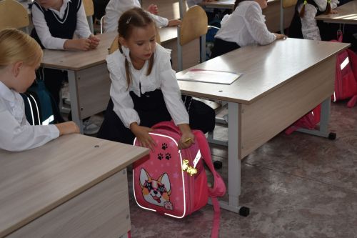 Урок безопасности дорожного движения прошел в Верхнеуслонской гимназии