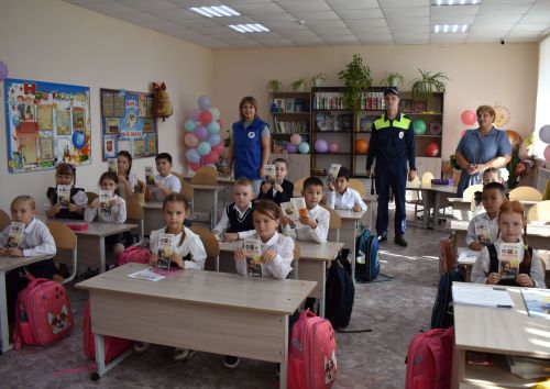 Урок безопасности дорожного движения прошел в Верхнеуслонской гимназии