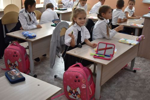 Урок безопасности дорожного движения прошел в Верхнеуслонской гимназии