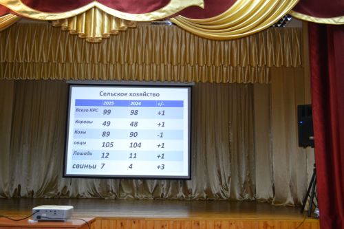 Общее дело: как шеланговцы сообща благоустраивают своё поселение