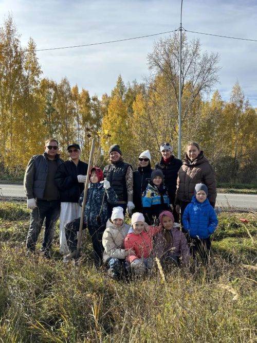 Тысячу тополей высадили в Верхнем Услоне в рамках экологической акции
