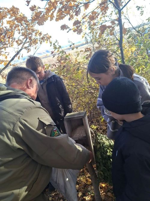 Школьники Куралова вместе с экологами помогли косулям, зайцам и птицам