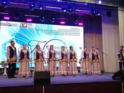 Ветераны Верхнеуслонского района выступили на фестивале «Балкыш» в Буинске