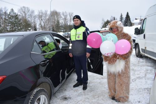 В Верхнем Услоне мартовский кот поздравил автоледи с 8 Марта