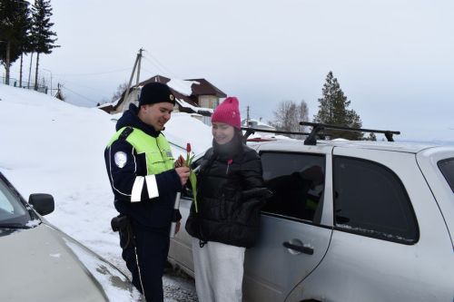 В Верхнем Услоне мартовский кот поздравил автоледи с 8 Марта