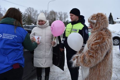 В Верхнем Услоне мартовский кот поздравил автоледи с 8 Марта