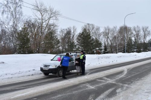 В Верхнем Услоне мартовский кот поздравил автоледи с 8 Марта