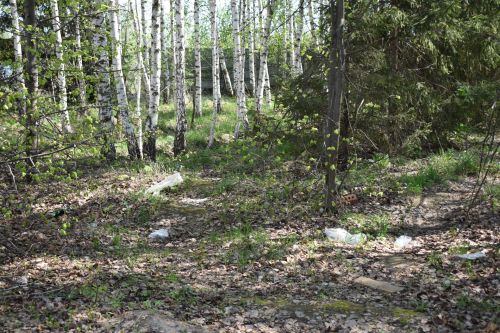 Фоторепортаж выездного совещания по благоустройству в Верхнем Услоне