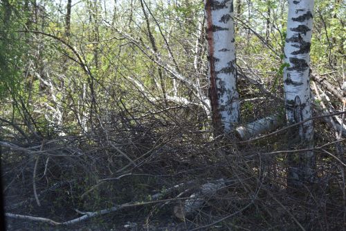 Фоторепортаж выездного совещания по благоустройству в Верхнем Услоне