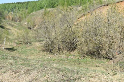 Фоторепортаж выездного совещания по благоустройству в Верхнем Услоне
