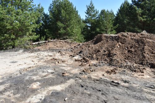 Фоторепортаж выездного совещания по благоустройству в Верхнем Услоне