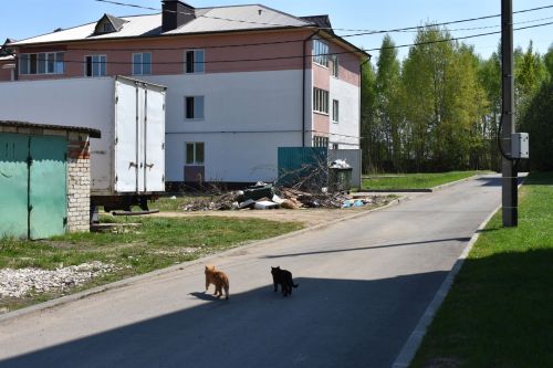 Фоторепортаж выездного совещания по благоустройству в Верхнем Услоне