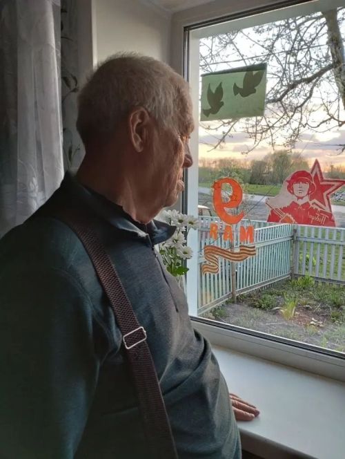 «Островок надежды» и «Движение первых» украсили окна к 9 Мая