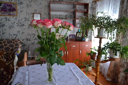 Изумрудный свет любви: 55 лет счастья Галины и Анатолия Кармановых