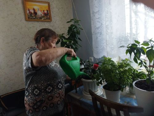 Соцработники «Островка надежды» используют гарденотерапию для пожилых людей