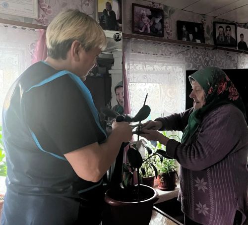 Соцработники «Островка надежды» используют гарденотерапию для пожилых людей