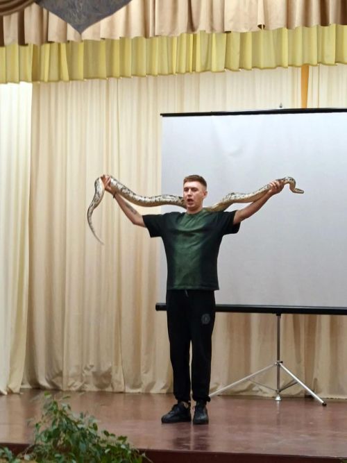Печищега цирк килде